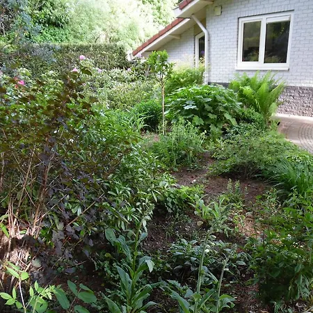 Vacationhomeputten בית נופש פוטן